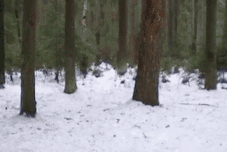 640 (3).gif